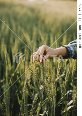 Smart farm. Farmer with tablet in the field. Agriculture, gardening or ecology concept. Harvesting. Agro business. 112193629