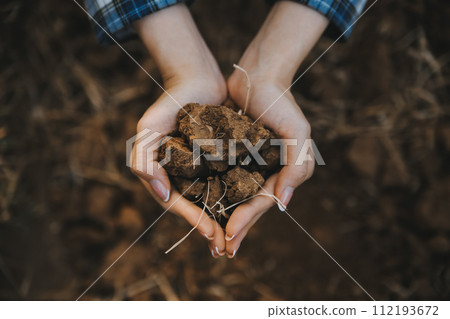 Top view of soil in hands for check the quality of the soil for control soil quality before seed plant. Future agriculture concept. Smart farming, using modern technologies in agriculture Top view of soil in hands for check the quality of the soil for control soil quality before seed plant. Future agriculture concept. Smart farming, using modern technologies in agriculture 112193672