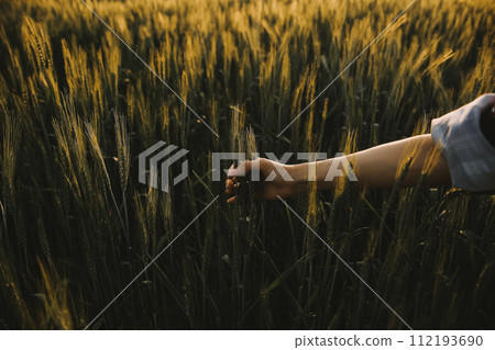 Smart farm. Farmer with tablet in the field. Agriculture, gardening or ecology concept. Harvesting. Agro business. Smart farm. Farmer with tablet in the field. Agriculture, gardening or ecology concept. Harvesting. Agro business. 112193690