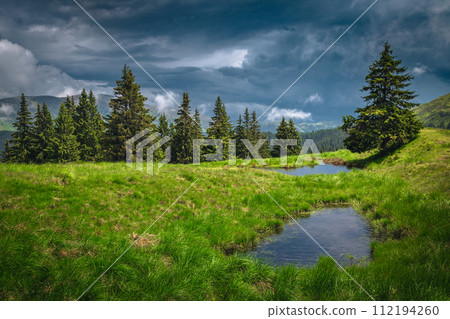 Small lakes on the green meadow at rainy day 112194260