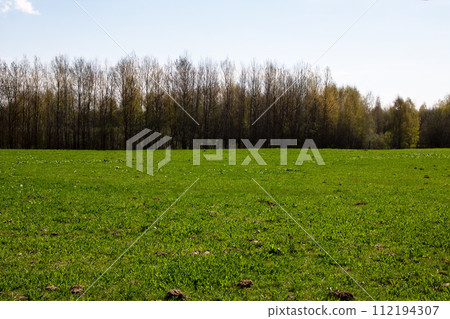 Bright green field and blue sky closeup Bright green field and blue sky closeup 112194307