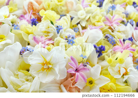 flower, bloom, blossom 112194666