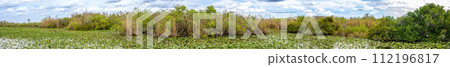 Panoramic view of the open wetland of the Florida Everglades swamp Anhinga Trail Panoramic view of the open wetland of the Florida Everglades swamp Anhinga Trail 112196817