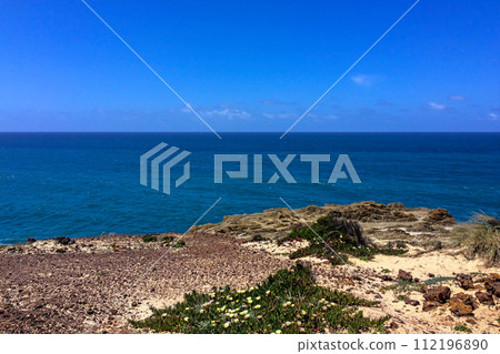 The image captures a rocky shoreline with greenery overlooking a vast, blue ocean under a clear sky. The image captures a rocky shoreline with greenery overlooking a vast, blue ocean under a clear sky. 112196890