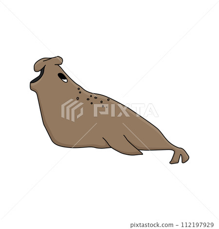 Elephant seal. Hand drawn vector cartoon isolated cute animal in Antarctica. Polar cute childish illustration on the white background Elephant seal. Hand drawn vector cartoon isolated cute animal in Antarctica. Polar cute childish illustration on the white background 112197929