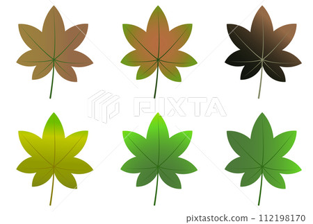 Fresh green leaf maple icon Fresh green leaf maple icon 112198170