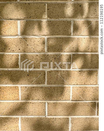 Brick wall illuminated by sunlight filtering through the trees 112198195