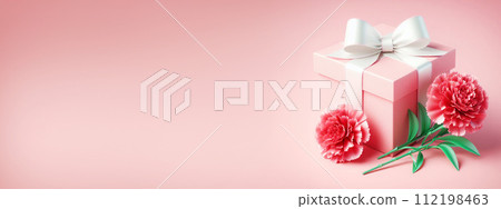 Mother's Day Carnation Copy Space 112198463