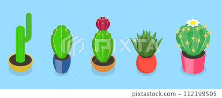 3D Isometric Flat Vector Set of Cactuses 112199505