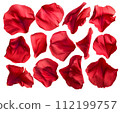 紅色花瓣套裝（透明背景） 112199757