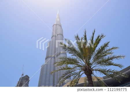 Oasis in the desert: Dubai skyscrapers Oasis in the desert: Dubai skyscrapers 112199775