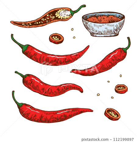 Set of hand drawn chili pepper with various elements. Vector illustration isolated on white background in engraving style. Set of hand drawn chili pepper with various elements. Vector illustration isolated on white background in engraving style. 112199897