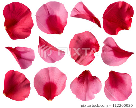 紅色花瓣套裝（透明背景） 112200020