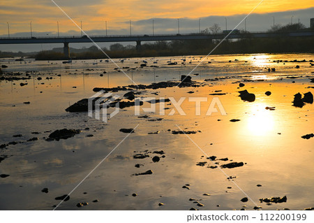 日出：舊河本郡深谷市荒川河幹流上過冬的苔原天鵝 112200199