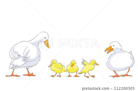 Cute duck parent and child set (color) 112200305
