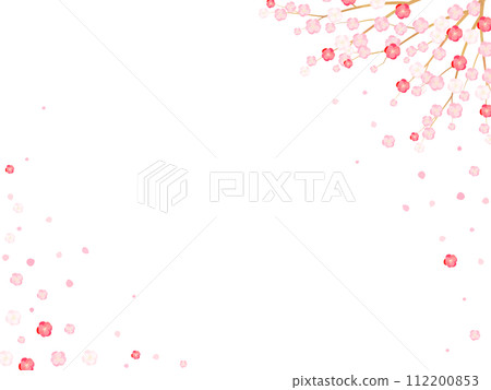 盛開的梅花框架背景圖 盛開的梅花框架背景圖 112200853