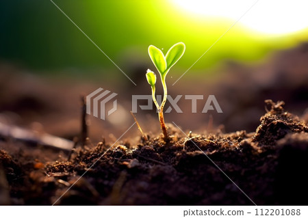 Image of sprouting 10 AI-generated images 112201088