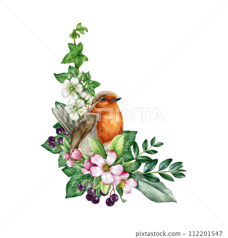 Vintage style spring decor of robin bird with flowers. Watercolor illustration. Hand drawn garden robin, spring flowers, elderberry, ivy, leaves element. Springtime painted cozy decor isolated 112201547