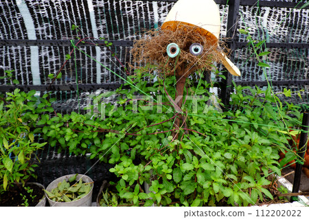 Funny scene at rooftop garden, bogey from nature, roots hair, cute eyes 112202022