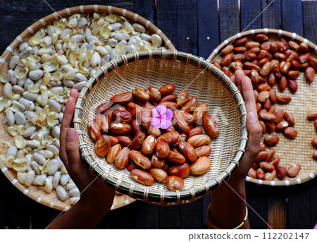 woman hand hold jackfruit seeds 112202147