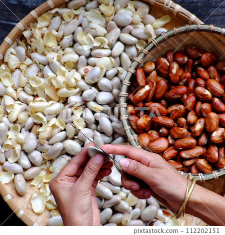 woman hand hold jackfruit seeds 112202151