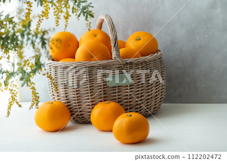 Hassaku and mimosa flowers 112202472