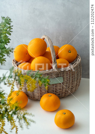 八朔和含羞草花 112202474