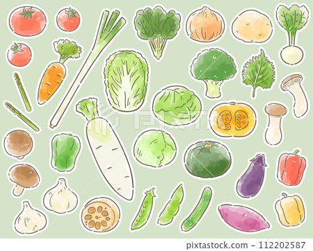 Hand-drawn vegetable illustration set with white border 112202587
