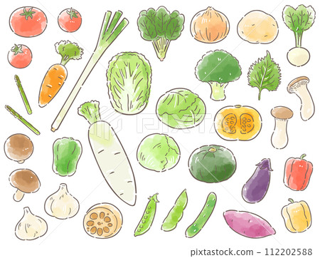 Hand-drawn vegetable illustration set 112202588