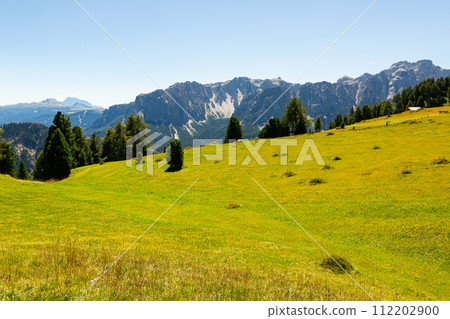 Wooden farm building on hillside in Dolomites. 112202900