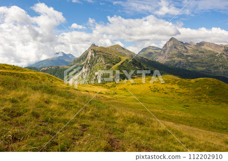 Green alpine meadows and forests on slopes of Dolomites with rocky peaks 112202910