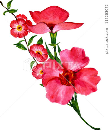 Bouquet flowers watercolor Bouquet flowers watercolor 112203072
