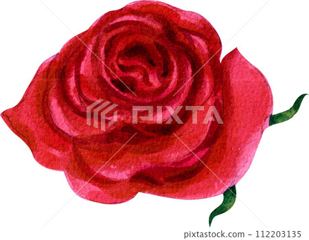 Flower and leaves watercolor element 112203135