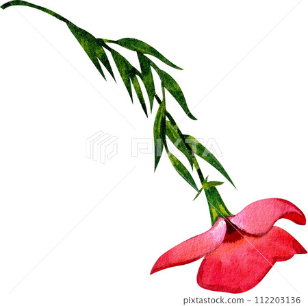 Flower and leaves watercolor element 112203136