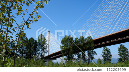 Pylon and cable stay tubes of Port Mann Bridge, white stay tubes, concrete column, industrial, metal, blue sky, white clouds 112203699