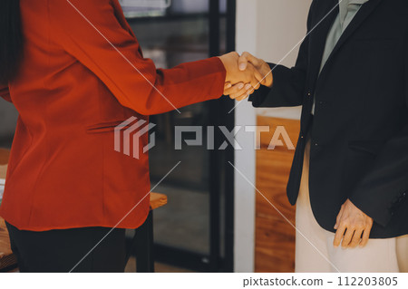 Businesswoman handshake and business people. Successful business handshake concept. Businesswoman handshake and business people. Successful business handshake concept. 112203805