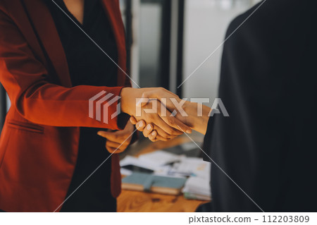 Businesswoman handshake and business people. Successful business handshake concept. Businesswoman handshake and business people. Successful business handshake concept. 112203809