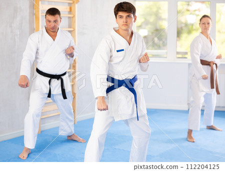 Athletes have starting position and repeating sequence of punches and painful techniques in kata Athletes have starting position and repeating sequence of punches and painful techniques in kata 112204125
