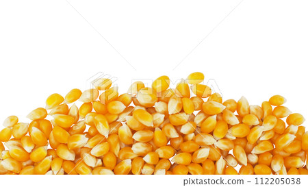 cut out of close-up yellow dry corn seed on white background cut out of close-up yellow dry corn seed on white background 112205038