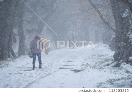 一個人走在雪地上 112205215