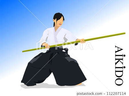Oriental combat sports. Aikido. Colored 3d vector illustration. Oriental combat sports. Aikido. Colored 3d vector illustration. 112207114