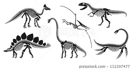 Isolated dinosaur skeleton fossil, dino bones. Vector reptile animal silhouettes. brachiosaurus, stegosaurus, olorotitan, tyrannosaur or trex, elasmosaurus and pterodactyl ancient reptilian remnants 112207477