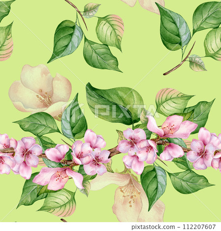 Watercolor branch of cherry tree with pink flowers seamless pattern isolated on green. Blossom fruit tree branch hand drawn. Design element for packaging, cosmetic, backdrop, wallpaper, textile 112207607