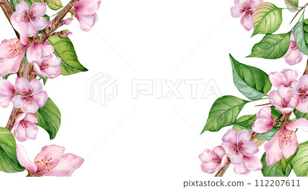 Watercolor floral board with pink blooming branch isolated on white. Design template of floral frame with pink white flowers hand drawn. Element for wedding invitation, card, packaging, label product 112207611