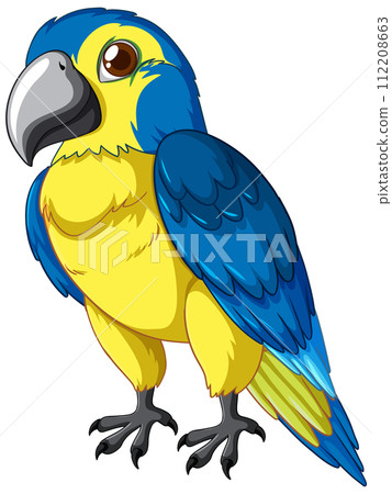 Colorful Parrot Vector Illustration 112208663