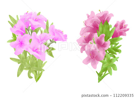 淺粉紅色和深粉紅色杜鵑花花束 112209335