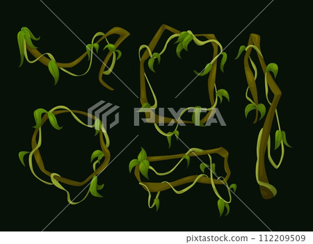Jungle liana vines with green leaves. Jungle liana vines with green leaves. 112209509