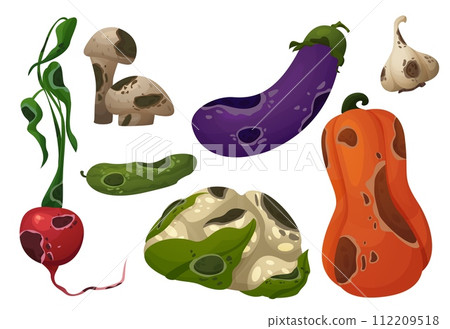 Rotten food with rot and mold. Rotten food with rot and mold. 112209518