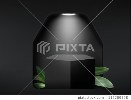 Pentagon black podium with leaves behind window Pentagon black podium with leaves behind window 112209538