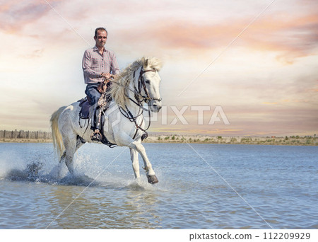 rider and horse on the beach 112209929